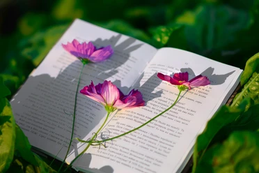 Bücherblüten