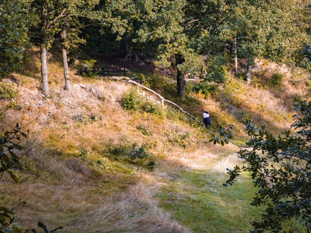 Sparekasseskoven, Åved Plantage