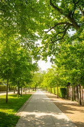 Herford-Wallspaziergang-Pro-Herford-GmbH-D-Ketz-194.jpg