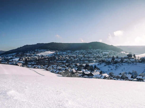 Ortsansicht Baiersbronn im Winter