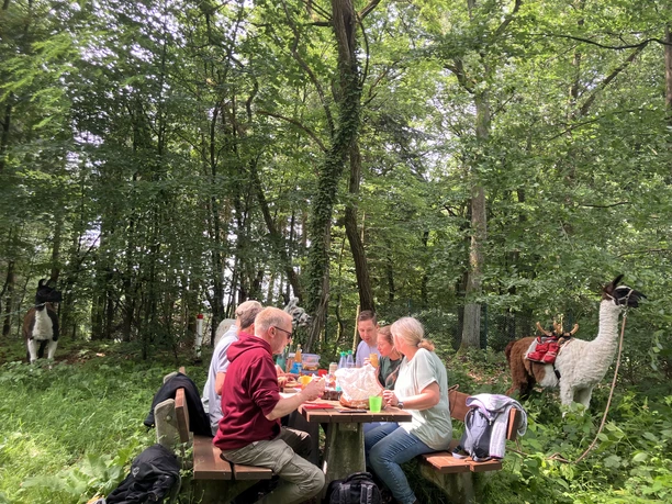 Picknickzeit.jpeg