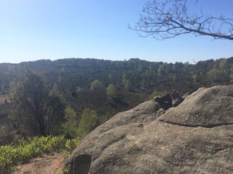 Wiese Totengrund.jpg Weite Heidelandschaft im Totengrund. Im Vordergrund ein Fels mit abgestellten Wanderschuhen.