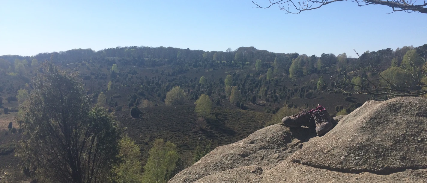 Wiese Totengrund.jpg Weite Heidelandschaft im Totengrund. Im Vordergrund ein Fels mit abgestellten Wanderschuhen.