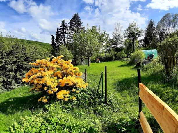 gepflegtes Gartengrundstück