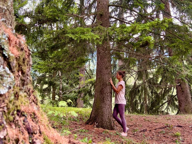 wald.jpg
