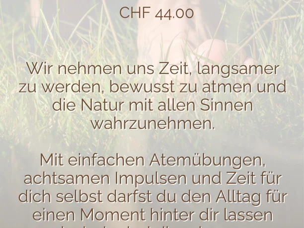 Bild1.png