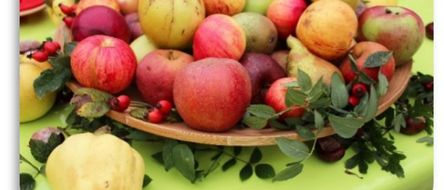 5.8. Apfelsaft selbst herstellen © Biosphaerium Elbtalaue.jpg