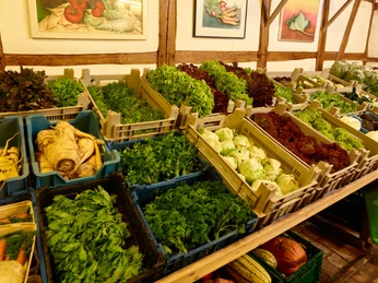 Pölig's Gemüsescheune: Regional vegetable selection