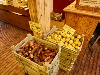 Pölig's vegetable barn: seasonal vegetables