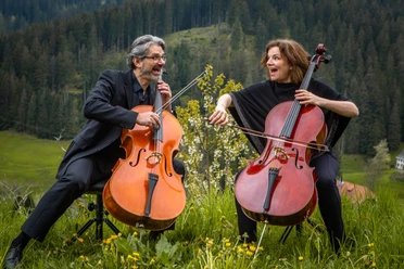 cello.jpeg