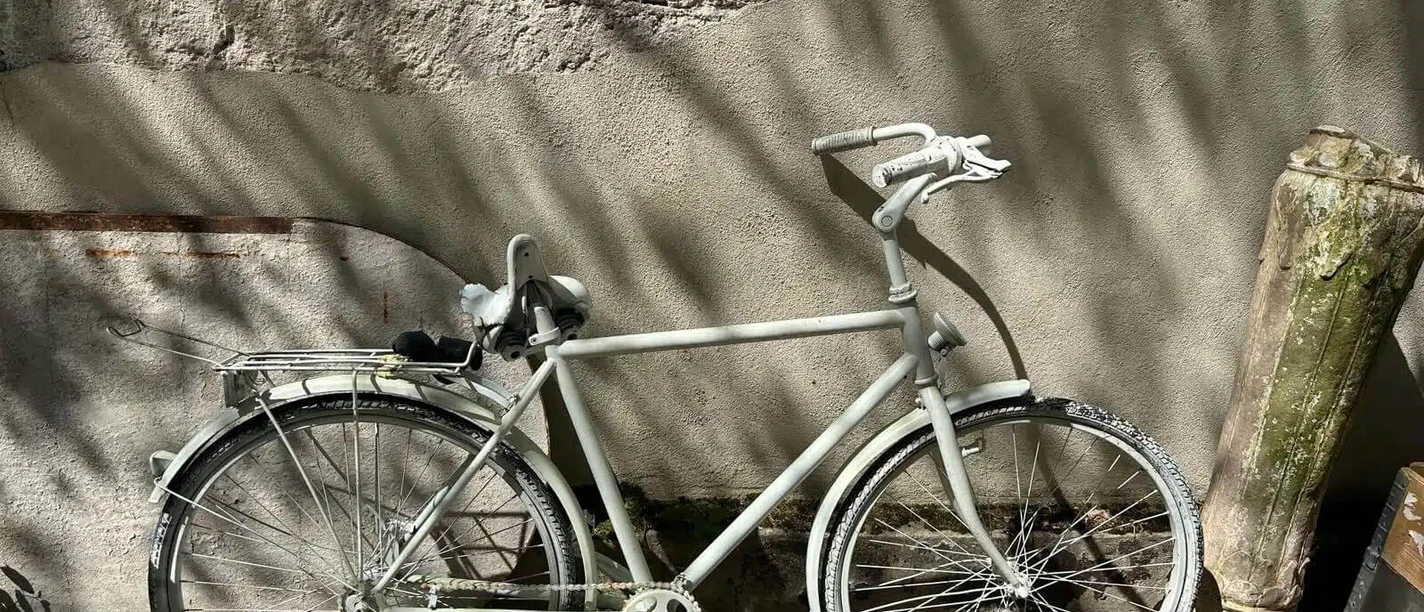 Open Memory: Everyone's Ghost-Bike Weißes Ghost Bike vor rauer Steinwand, von Astschatten überzogen.