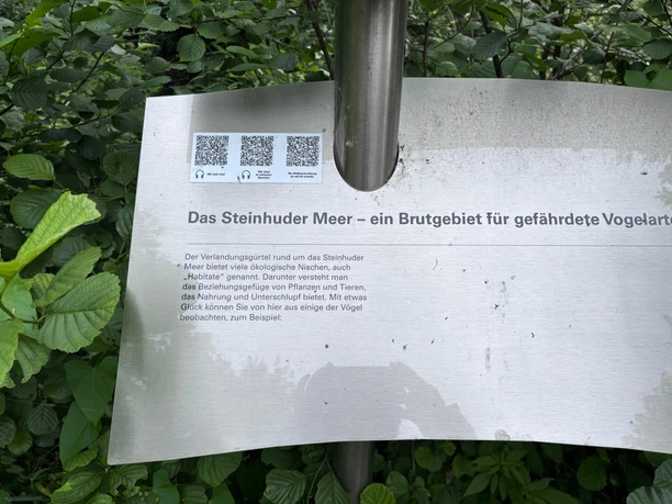 Infostele Alte Moorhütte Eine silberne Infotafel mit Informationen zum Naturpark vor einem Gebüsch. Links an der Seite ist ein 3D-Schriftzug "Steinhuder Meer" angebaut.