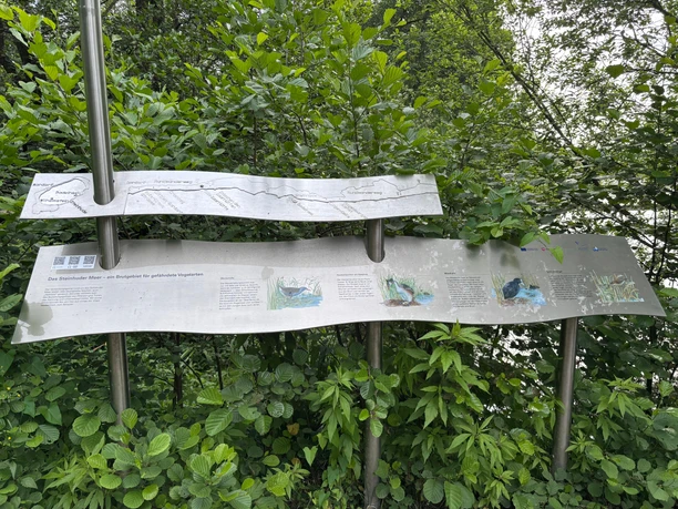 Infostele Alte Moorhütte Eine silberne Infotafel mit Informationen zum Naturpark vor einem Gebüsch. Links an der Seite ist ein 3D-Schriftzug "Steinhuder Meer" angebaut.