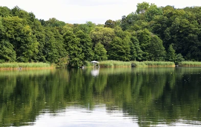Falkenhagen-Schweizerhaus-Märkisch Oderland-Odervorland-Seenland Oder-Spree-Holger Hoffmann (8).jpg
