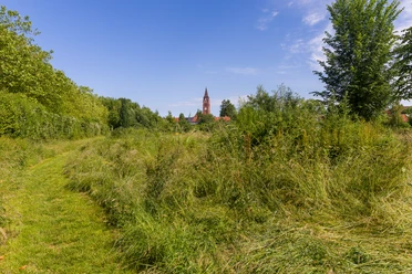 T0467 (c) Helmut Gross_Erlebnis Bremerhaven_WEB.jpg Grüne Wiese im Park Zolli mit Blick auf den Kirchturm der Pauluskirche unter blauem Himmel.