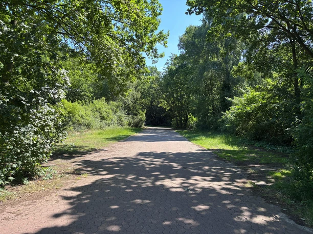 P3 (3) Breiter Weg und links und rechts davon sind Grünflächen als Parkfläche zu sehen. An den Seiten stehen jeweils Bäume.