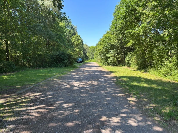 P7 (2) Breiter Weg und links und rechts davon sind Grünflächen als Parkfläche zu sehen. An den Seiten stehen jeweils Bäume.