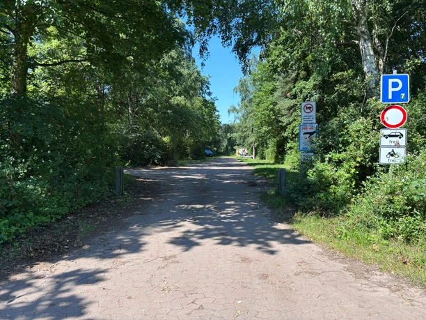 P7 (1) Breiter Weg und links und rechts davon sind Grünflächen als Parkfläche zu sehen. An den Seiten stehen jeweils Bäume.