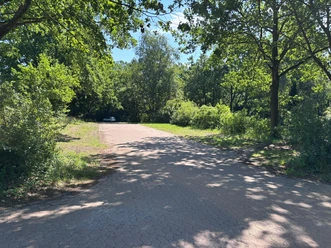 P3 Breiter Weg und links und rechts davon sind Grünflächen als Parkfläche zu sehen. An den Seiten stehen jeweils Bäume.