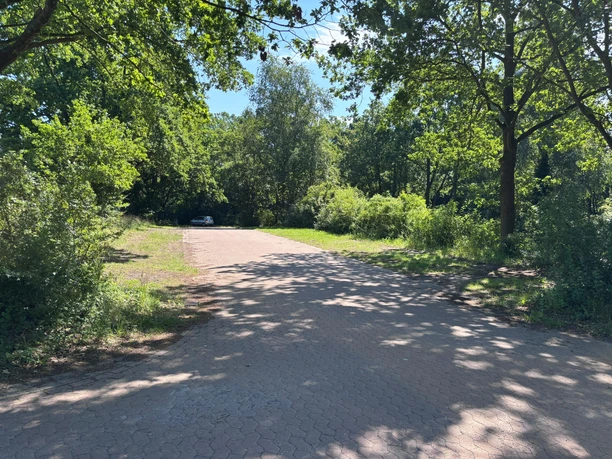 P3 Breiter Weg und links und rechts davon sind Grünflächen als Parkfläche zu sehen. An den Seiten stehen jeweils Bäume.