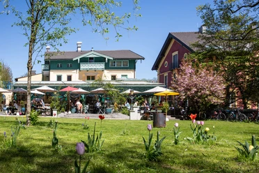 Café Bihler