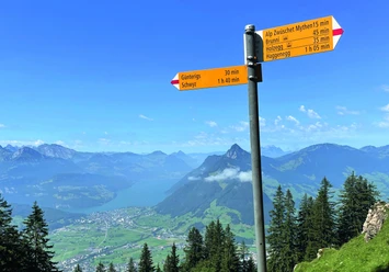 IMG 4634 quer