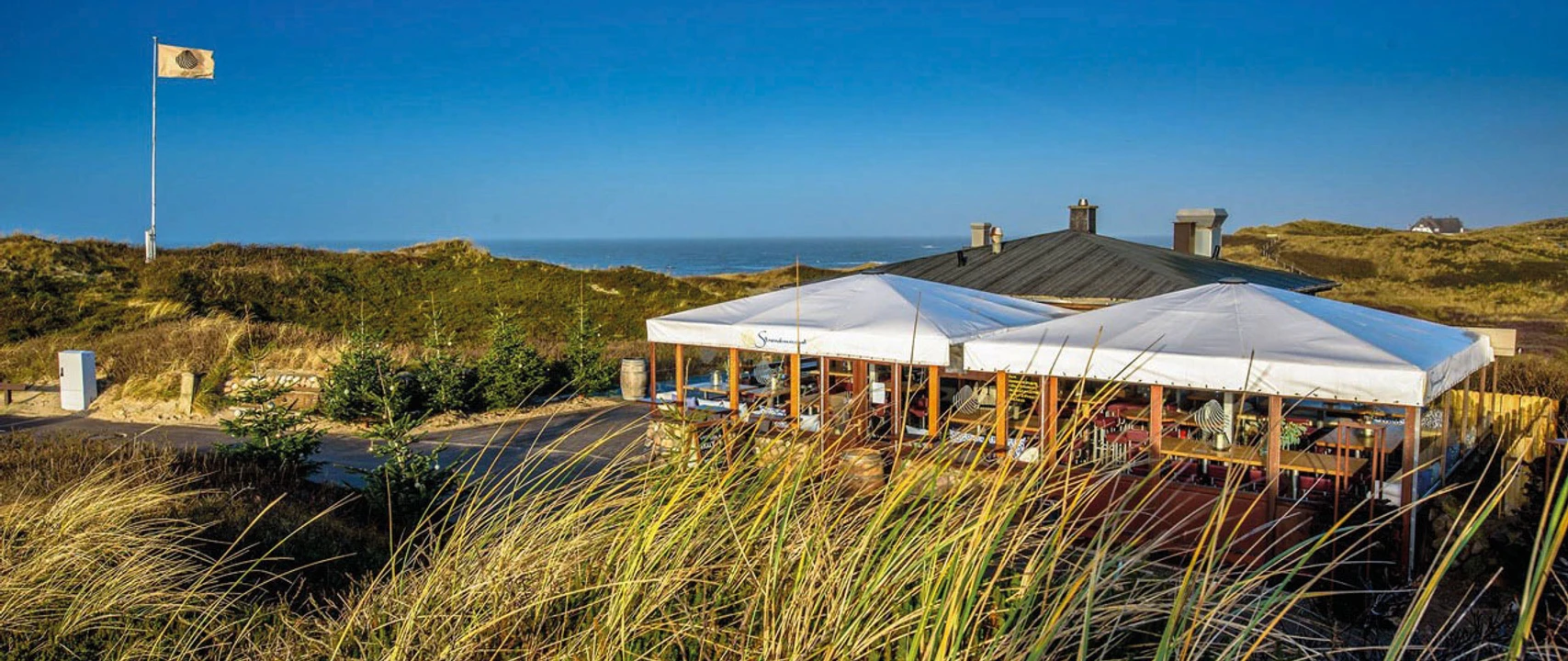 Strandmuschel-Aussenansicht