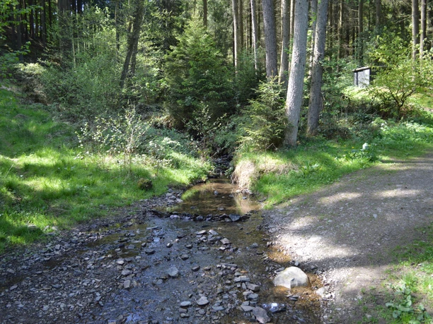 a3_familienwanderweg_oberes_nahmertal (25).JPG
