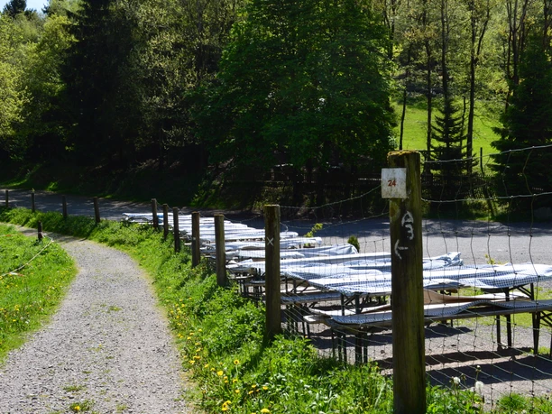 a3_6familienwanderweg_oberes_nahmertal (50).JPG a3_6familienwanderweg_oberes_nahmertal (50).JPG