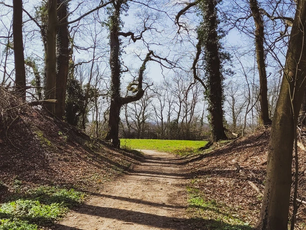Ertheneburg Schnakenbek Ertheneburg