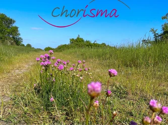 Albersdorf-2026_06_28_Chorisma.jpg
