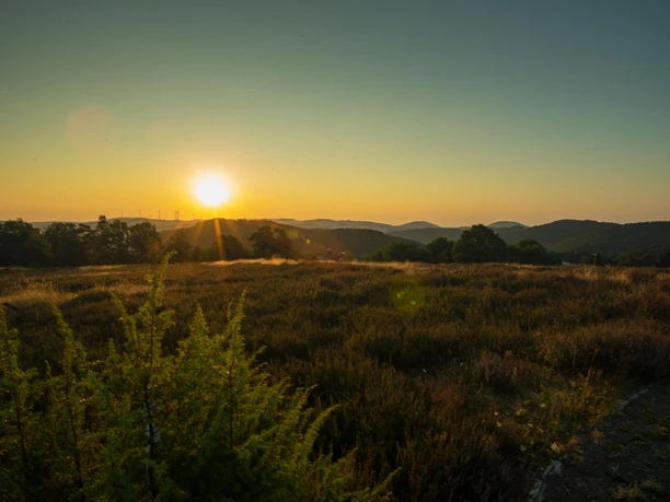 Wacholderheide bei Sonnenaufgang