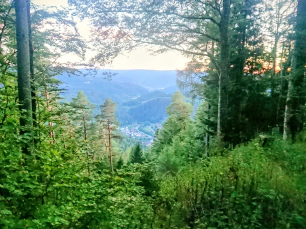 Ausblick von der Schillerlinde
