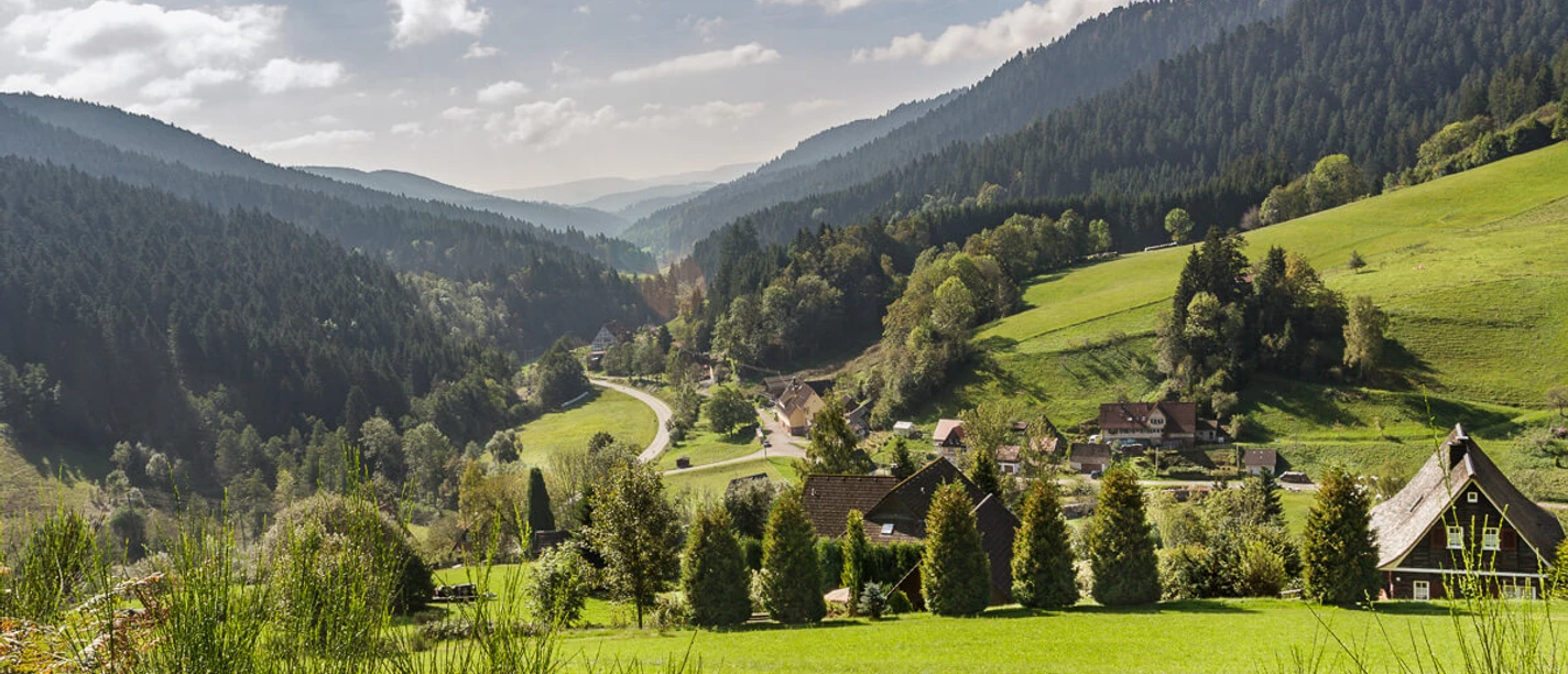 Blick auf Reinerzau Blick auf Reinerzau