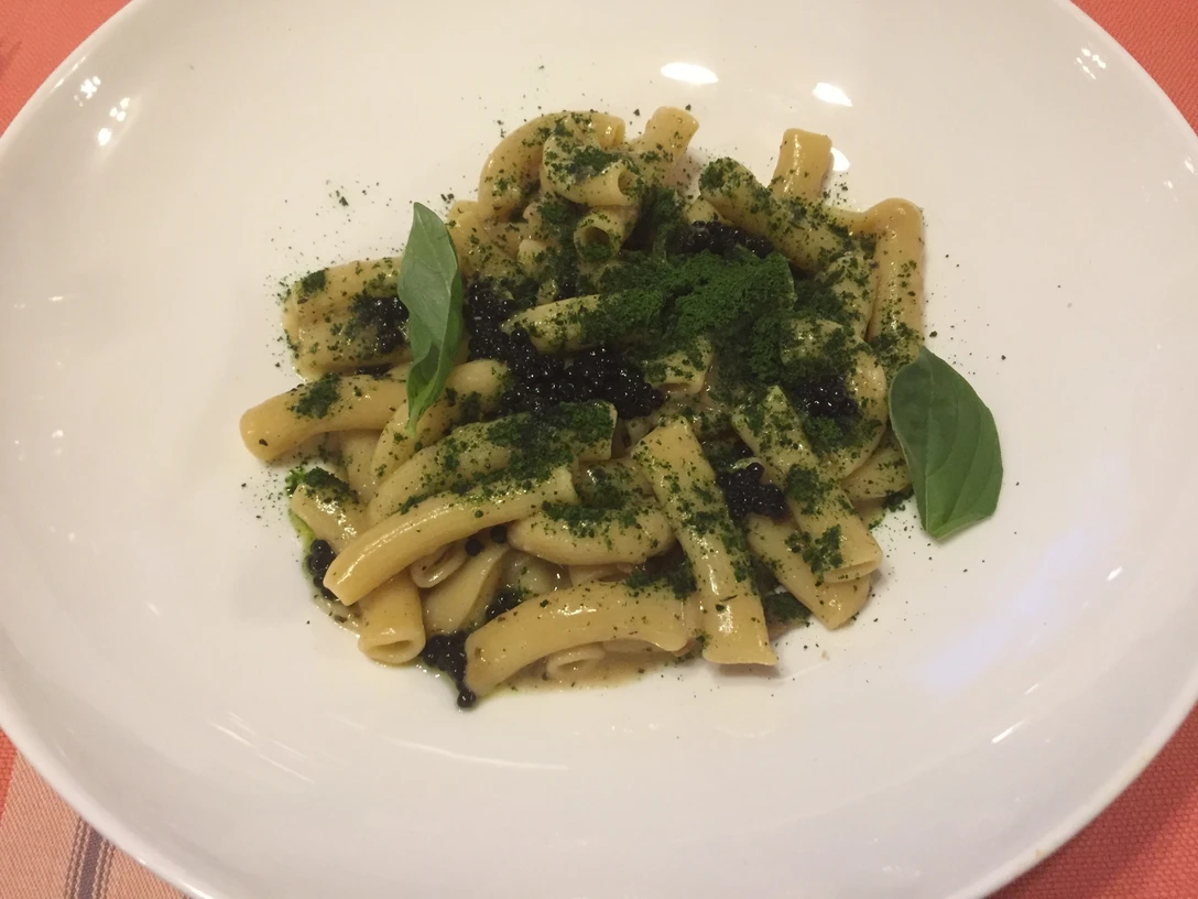 Ein weißer Teller präsentiert kurze Röhrennudeln, garniert mit frischen Basilikumblättern und Gewürzen.