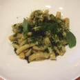 Ein weißer Teller präsentiert kurze Röhrennudeln, garniert mit frischen Basilikumblättern und Gewürzen.A white plate presents short tubular noodles garnished with fresh basil leaves and spices.En hvid tallerken præsenterer korte, rørformede nudler, garneret med friske basilikumblade og krydderier.Een wit bord presenteert korte buisvormige noedels, gegarneerd met verse basilicumblaadjes en kruiden.