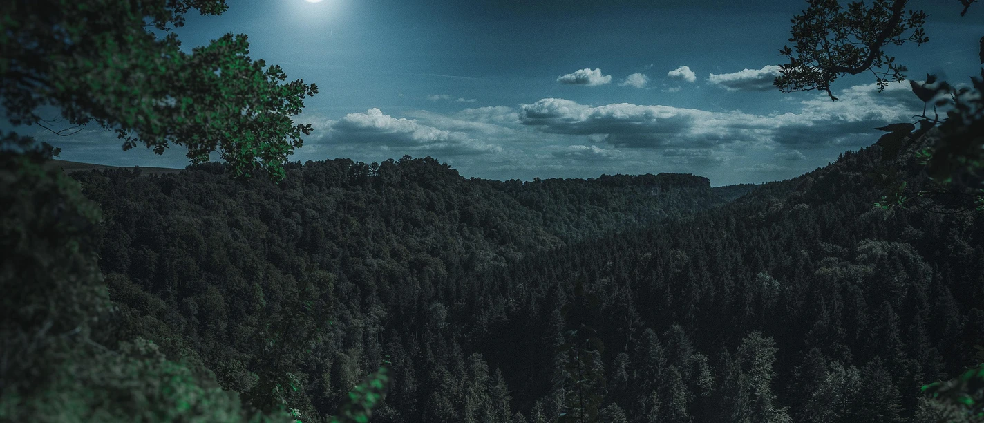 nature-3194001