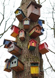 bird-houses-6964838-pixabay