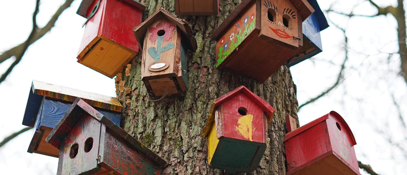 bird-houses-6964838-pixabay