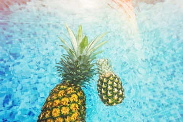 Summer | Sample Image