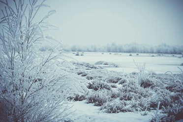 1_Eis_schmilzt_Moor_waechst_©NaturparkMoorVeenland_AnjaPoker.jpg