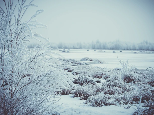 1_Eis_schmilzt_Moor_waechst_©NaturparkMoorVeenland_AnjaPoker.jpg