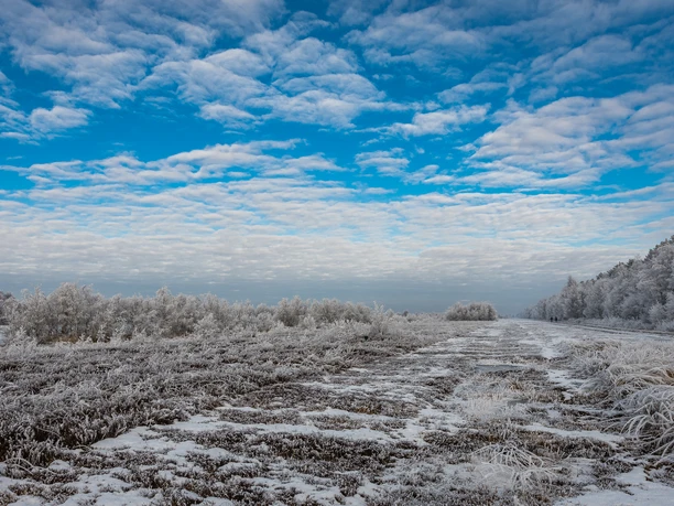 1_Eis_schmilzt_Moor_waechst_INP_APoker_moorlandschaffen3.jpg
