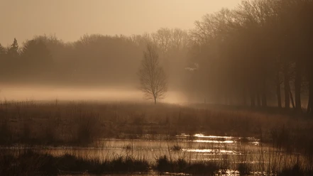 3_Wo_Irrlichter_locken_©NaturparkMoorVeenland.JPG