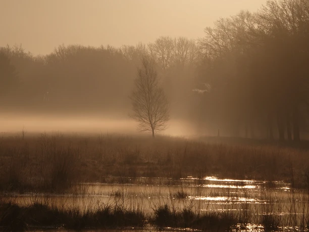 3_Wo_Irrlichter_locken_©NaturparkMoorVeenland.JPG