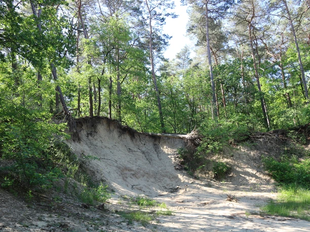 8_Geformte_Landschaft_1_NaturparkMoorVeenland.JPG
