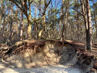 8_Geformte_Landschaft_2_NaturparkMoorVeenland.jpg