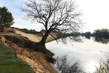9_Sandwelle_MeppenerKuhweide(c)NaturparkBourtangerMoor_Barbara_van_den_Ham.JPG