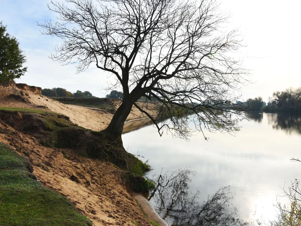 9_Sandwelle_MeppenerKuhweide(c)NaturparkBourtangerMoor_Barbara_van_den_Ham.JPG