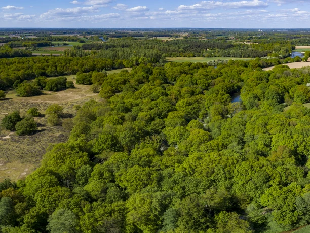 11_Das_Paradies©NaturparkMoorVeenland.jpg